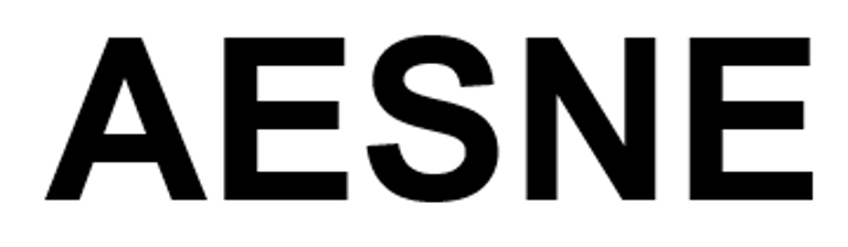 AESNE , LLC logo