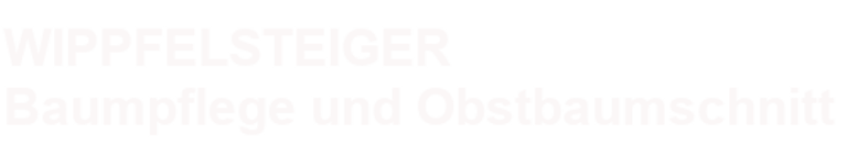 Baumpflege Wipfelsteiger logo