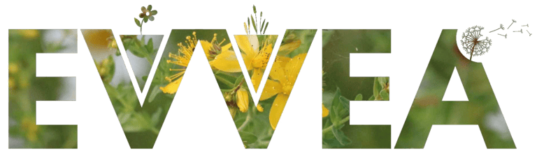 EVVEA logo