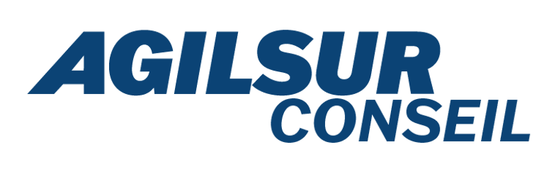 AGILSUR Conseil logo