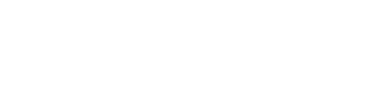 Diagnosetechnik Richter GmbH logo