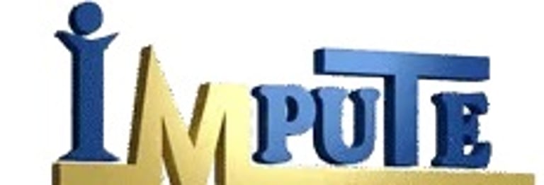 IMPUTE CONCEPT AND SERVICES logo