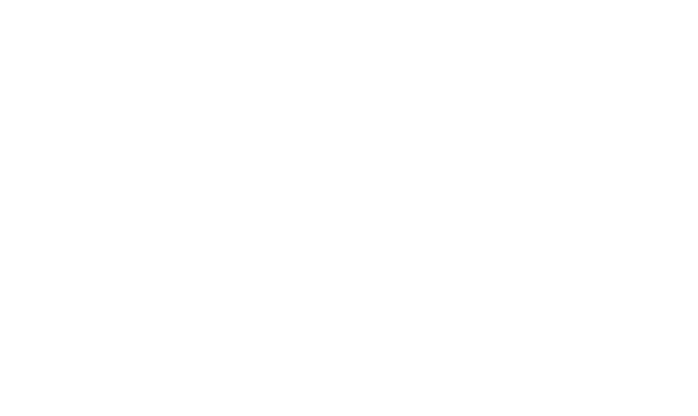 NZXSTREAM logo