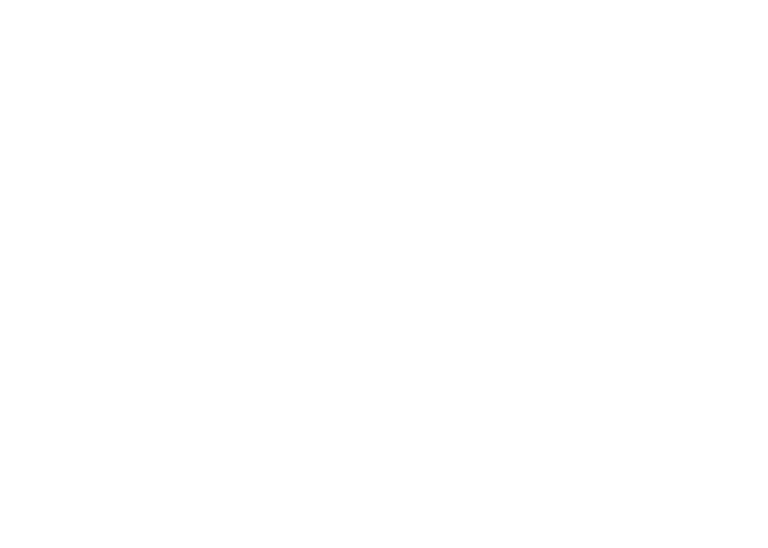 Merle Zurawski logo
