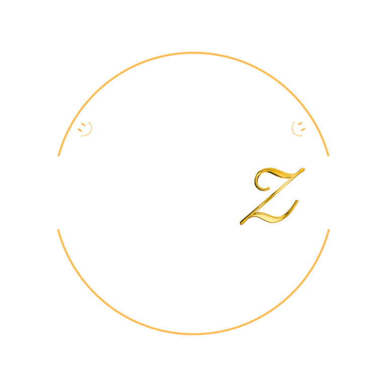Smiley Vizion logo