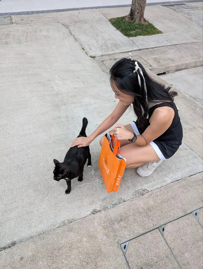 black cat, singapore