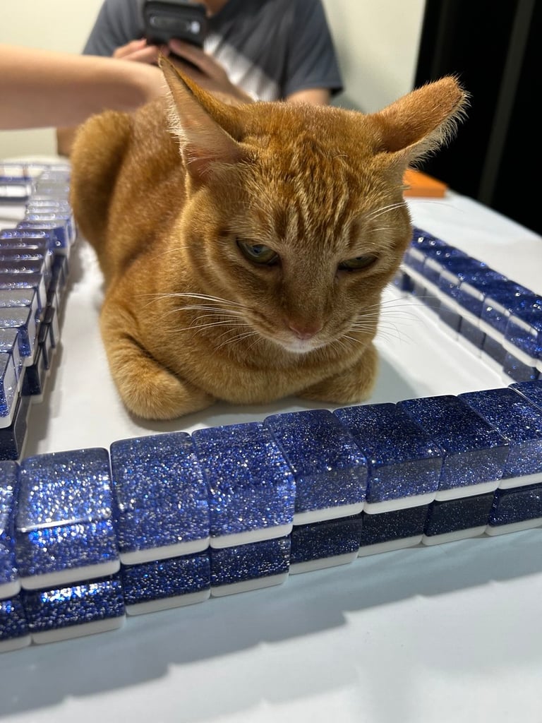 orange mahjong cat, singapore