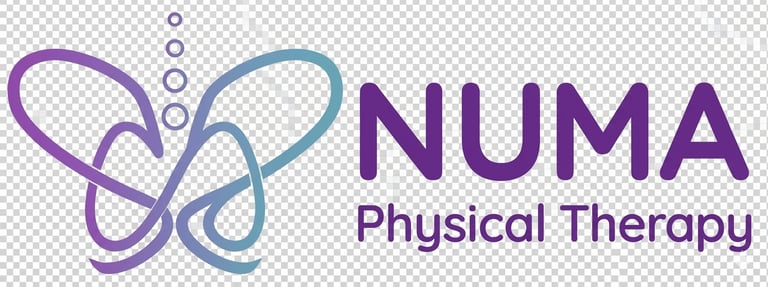 Numa Physical Therapy logo