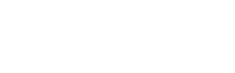Williams Lake Basketball Association logo