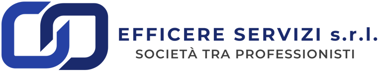 Efficere Servizi logo