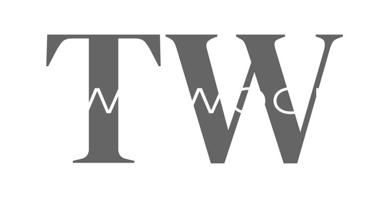 TwinWood Construction Services LLC logo