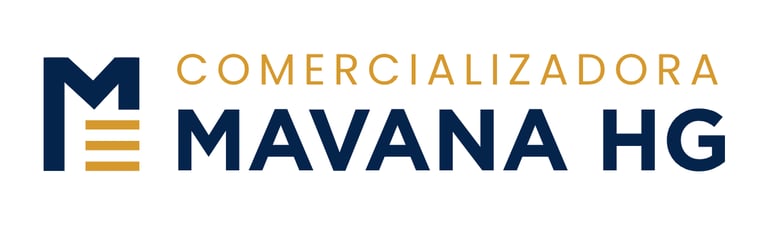 MAVANA GROUP logo