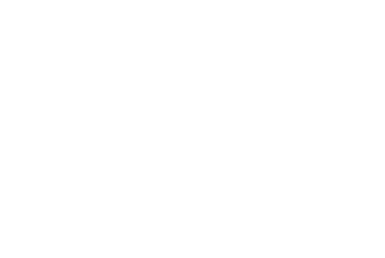 Mirror Image Productions logo