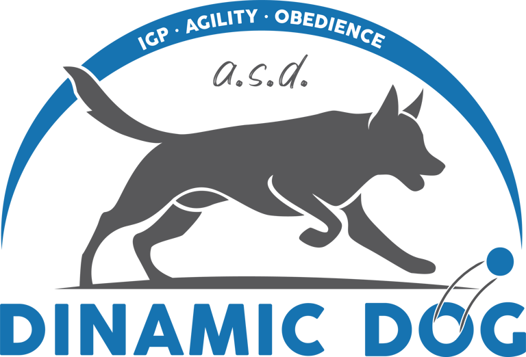 Dinamic Dog logo