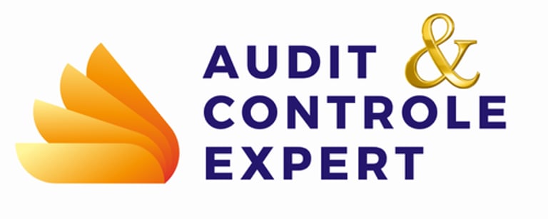 audit contrôle logo