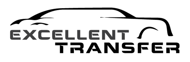 Gabriel Silva - Excellent transfer logo