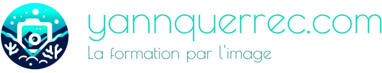 Yann Querrec logo