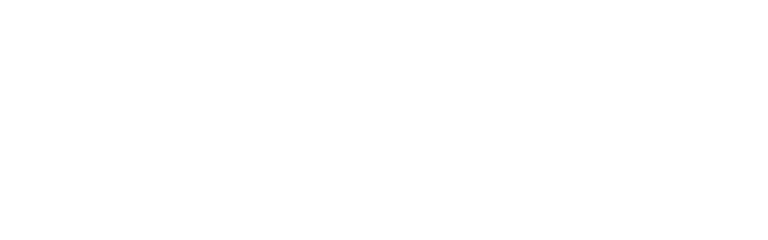 Peerception logo