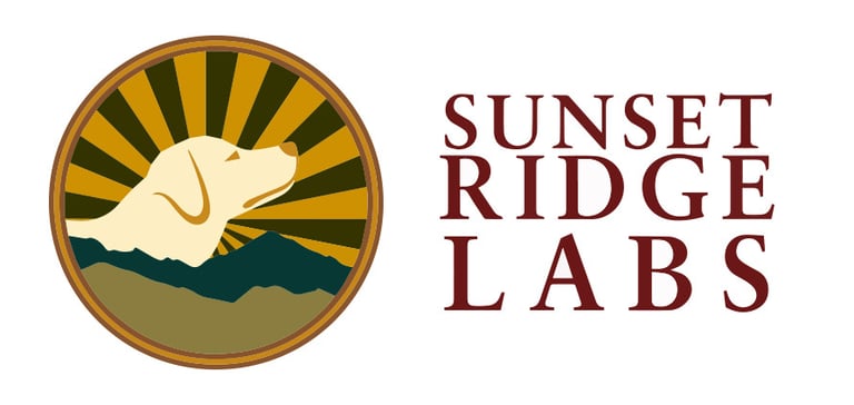 Labrador Retriever Puppies for sale logo