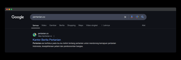 seo google teratas