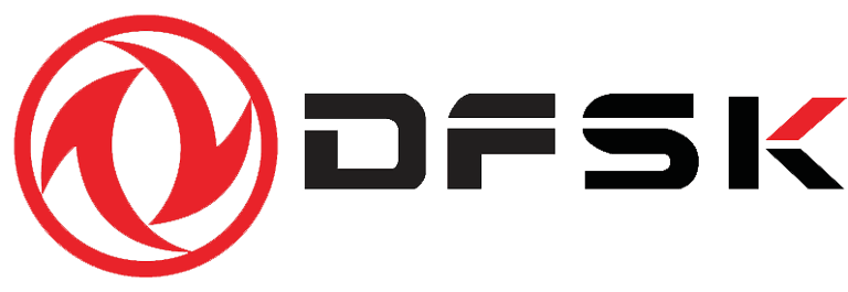 DFSK logo