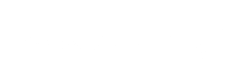 Wander Travel Play logo