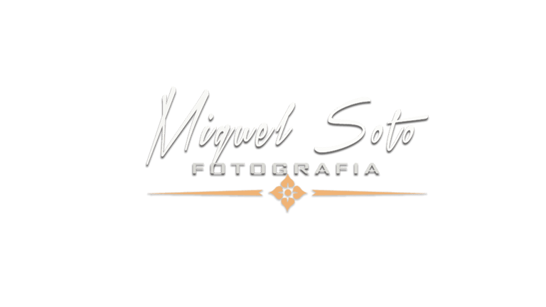 Miguel Soto FOTOGRAFO logo