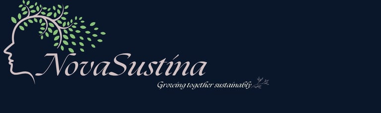NovaSustina logo