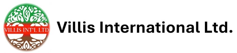 Villis International limited logo