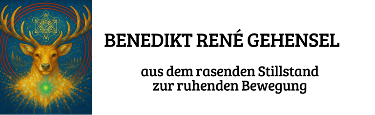 Benedikt Gehensel - Selbstheilungspotential logo