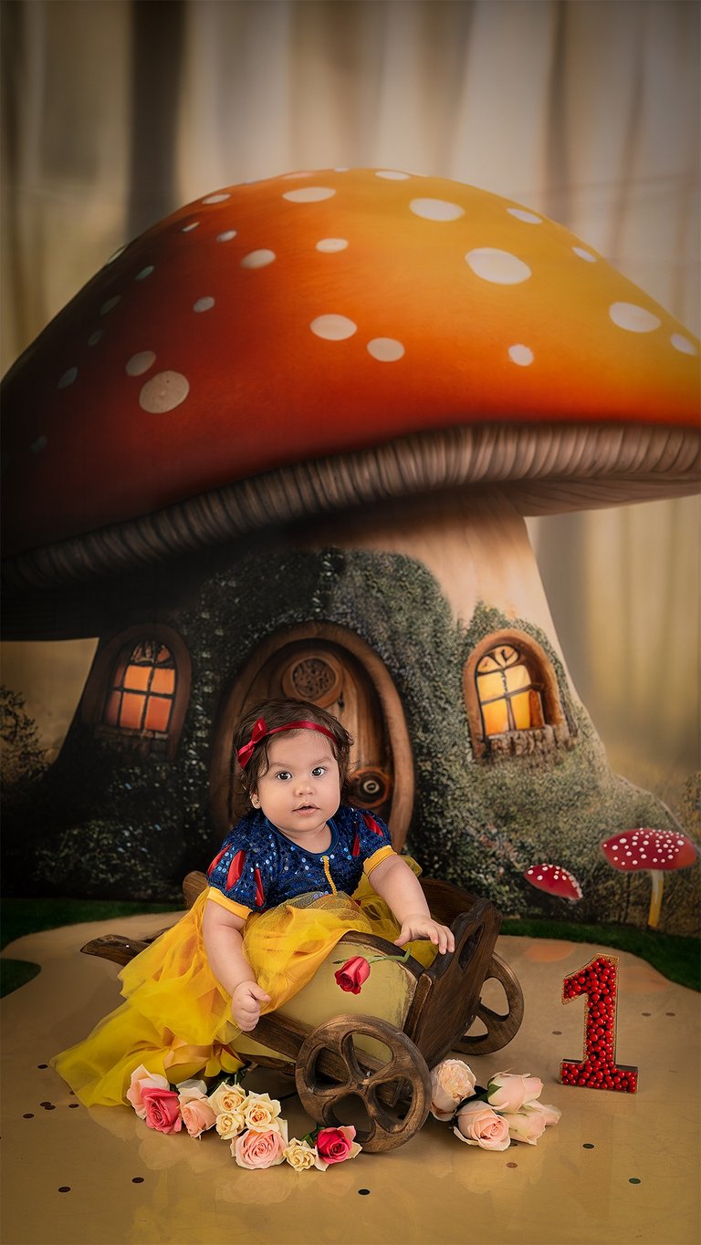  Sesión de fotos para bebés en Bariloche. Cumpleaños  1 a 8 años