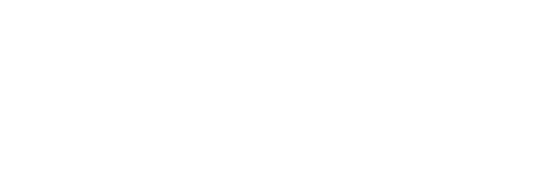 CiberFly Studios logo
