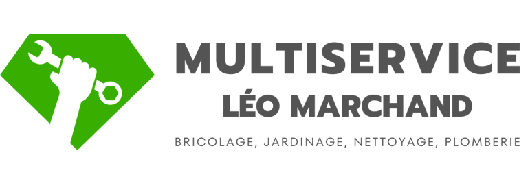 Léo Travaux logo