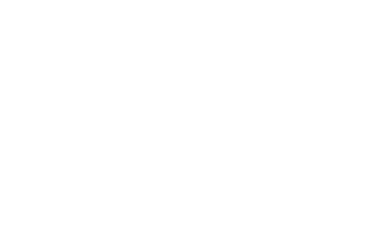 Specialised Energy Solutions FZCO logo