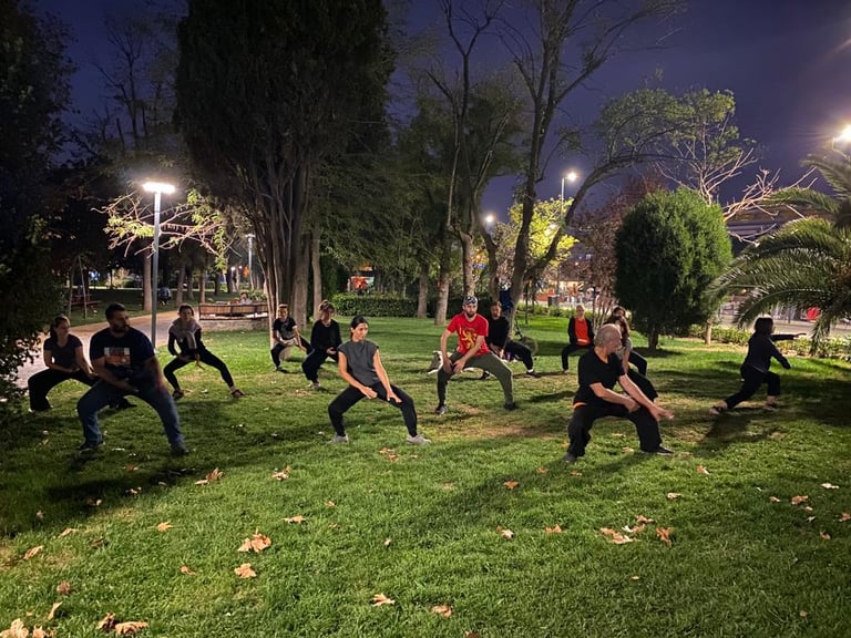 Esat Ataç leading a nighttime Tai Ji group session in Yoğurtçu Park, with students in 36 form.