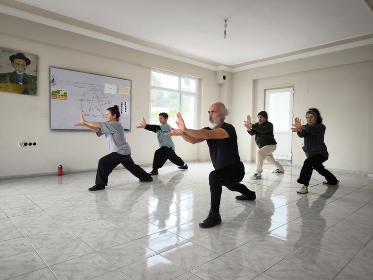 an indoor Tai Ji practice with İzmir team, focused in stance Xuanwubasic 2