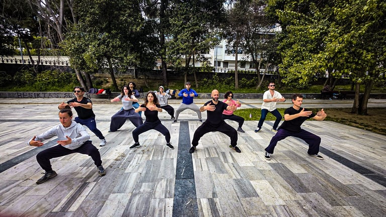 Group Tai Ji practice session at İnönü Park for World Tai Ji Day 2025, students in horse stances.