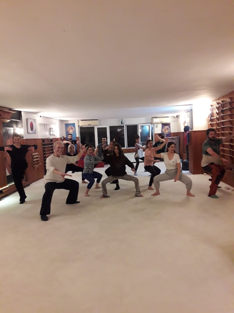 WDP İstanbul students practices Tai Ji movements in Tuplar, standing in low stances with focused intent