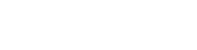 Salsa Festival 2024 logo