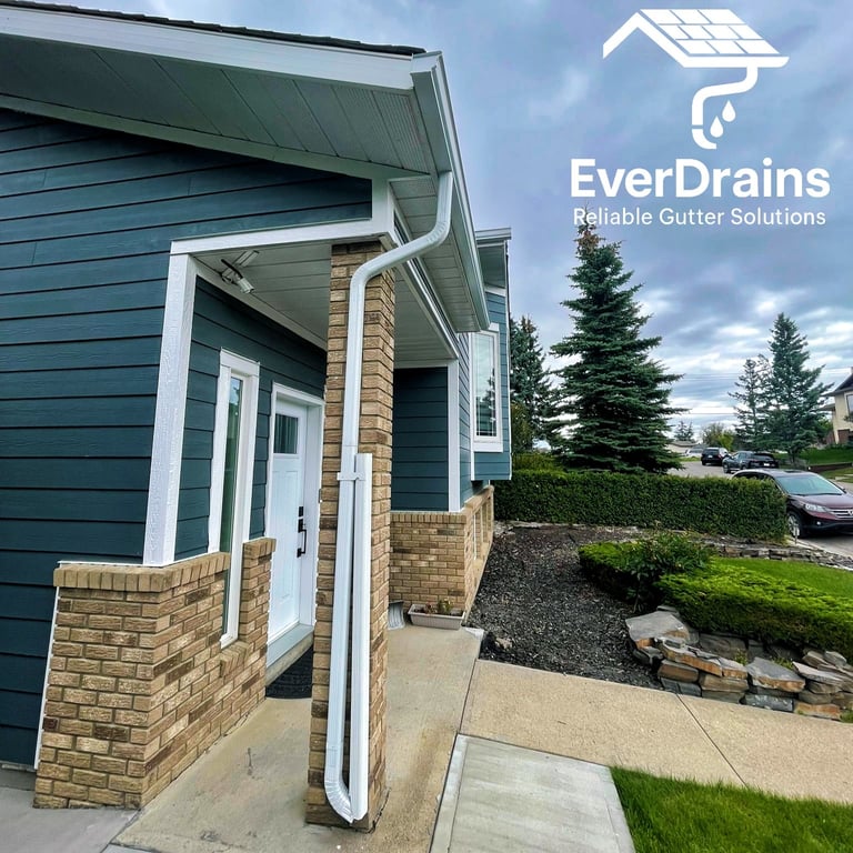 Affordable rain gutter installation service near me