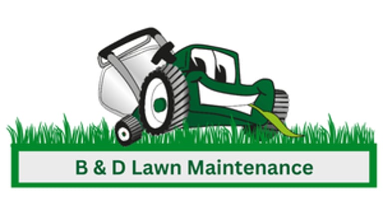B & D Lawn maintenance, LLC logo