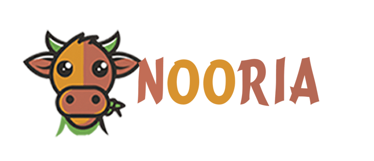 NOORIA logo