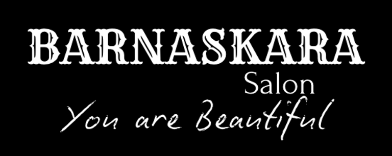 Barnaskara Salon logo