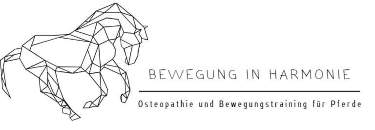 Bewegung in Harmonie logo