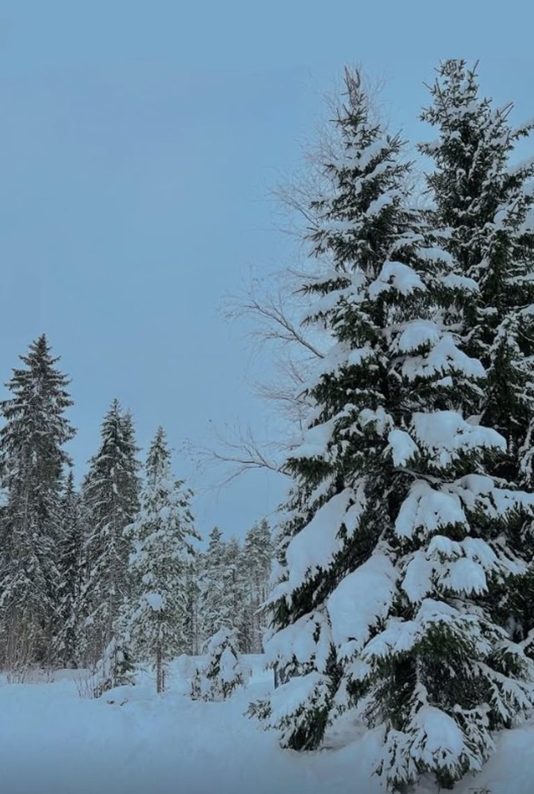 Paisaje nevado en Finlandia