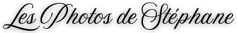 les photos de stéphane logo