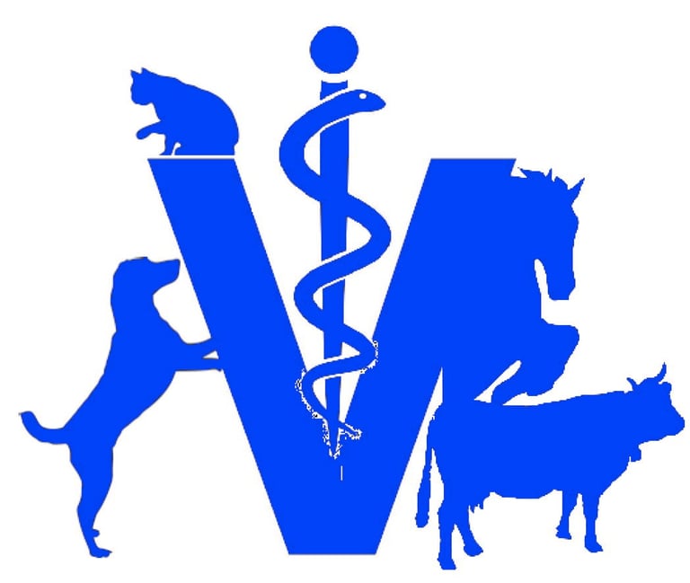 Dr P. JOUBERJEAN logo