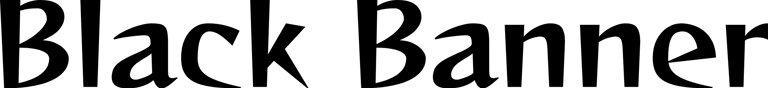 Black Banner Websites logo