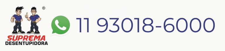 Desentupidora Morumbi logo