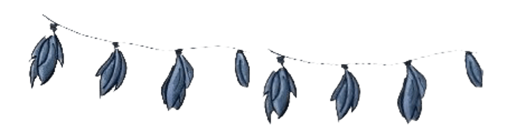 Les Guirlandes d'Alexandrine logo